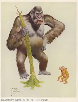 Colossal Prints: Gran pops nose is put out of joint by Lawson Wood