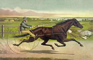 Horses Gallery: The grand California trotting mare Sunol record 2: 10 1 / 2 at