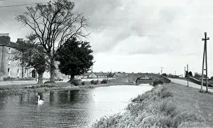 Swan Prints: The Grand Canal, Tullamore, Co Offaly, Ireland
