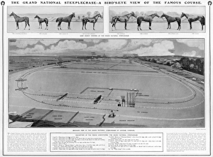 Drogheda Gallery: Grand National Course