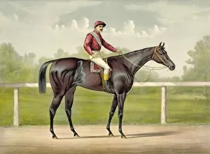 Images Dated 2nd May 2012: Grand racer Kingston, by Spendthrift: dam imp. Kapanga, by V