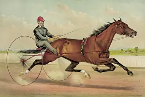 Trotter Prints: The grand trotter Clingstone, driven by G. H. Saunders: by Ry