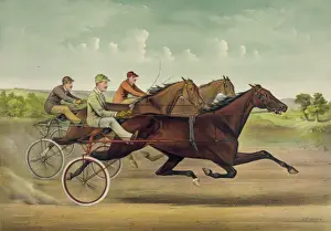 Budd Prints: The grand trotting Queen Nancy Hanks driven by Budd Doble