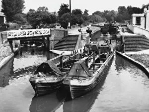 Hertfordshire Collection: Grand Union Canal