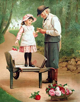Grandfather Gallery: Grandpa Removing a thorn from his Rose