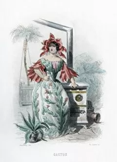 Animees Gallery: Grandville Cactus 1847