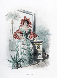 Animees Gallery: Grandville Cactus 1847