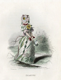 Animees Gallery: Grandville Eglantine