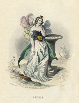 Animees Gallery: Grandville Pansy 1847
