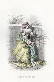 Animees Gallery: Grandville Peach Blossom