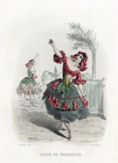 Animees Gallery: Grandville Pomegranate