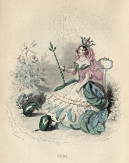 Animees Gallery: Grandville Rose 1847