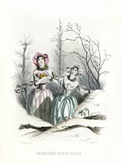 Animees Gallery: Grandville Snowdrop 1847