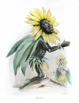 Animees Gallery: Grandville Sunflower