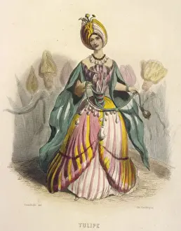 Grandville Prints: Grandville Tulip 1847