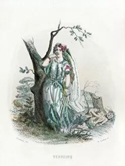 Grandville Verbena 1847