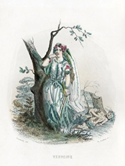 Animees Gallery: Grandville Verbena 1847