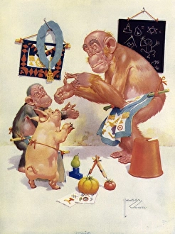 Images Dated 7th January 2012: Granpops Lodge of Instruction