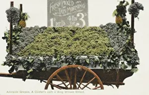 Grape Stall - Adelaide, Australia