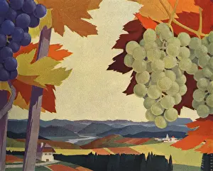 Vines Prints: Grape vines