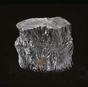 Carbon Prints: Graphite