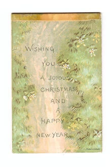 Images Dated 15th May 2018: Grass and flowers on a Christmas and New Year card