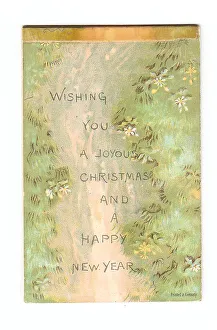 Images Dated 15th May 2018: Grass and flowers on a Christmas and New Year card