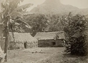 Grass houses, at Waitova, near Levuku, Fiji