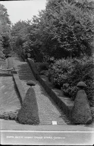Milton Prints: Grass Steps at Milton Abbey