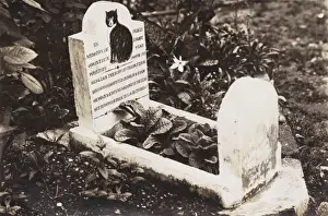 Bereavement Prints: Grave of a pet dog