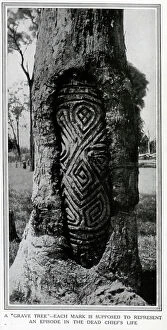 Lives Collection: A grave tree carving