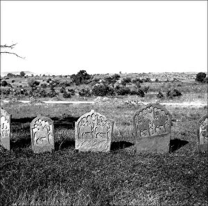 Watts Collection: Gravestones near Mandu, Madhya Pradesh, India