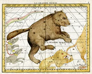 Celestial Prints: Great Bear