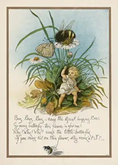 Surprising Prints: Great Buzzing Bee Boyle
