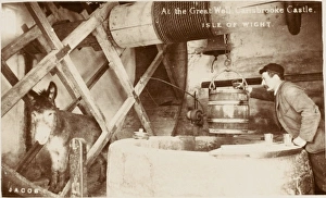 Carisbrook I.O.W