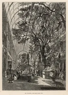 Transept Prints: Great Exhibition