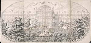Great Exhibition/Cartoon