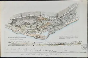 Fellow Prints: The Great Landslip at Great and Little Bindon and Dowlands