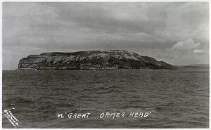 Images Dated 1st March 2019: Great Orme - North Wales