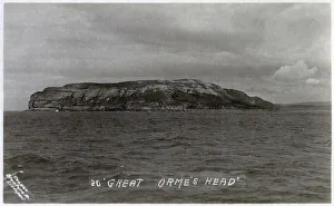 Images Dated 1st March 2019: Great Orme - North Wales