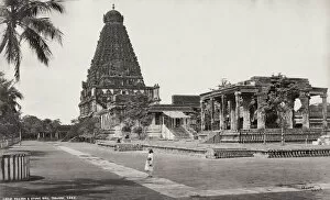 Pagoda Collection: Great pagoda and stone bull Tanjore, India, Samuel Bourne