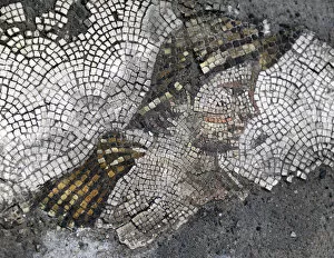 Images Dated 14th December 2013: Great Palace Mosaic Museum. Byzantine style. Head of a young