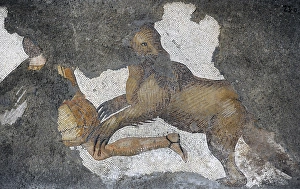Images Dated 14th December 2013: Great Palace Mosaic Museum. Byzantine style. Bear. Istanbul