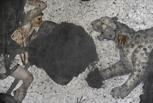 Images Dated 14th December 2013: Great Palace Mosaic Museum. Byzantine style. Hunting leopard