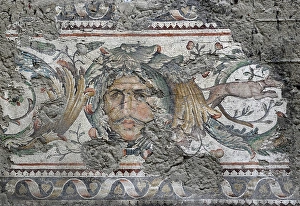 Images Dated 14th December 2013: Great Palace Mosaic Museum. Byzantine style. Ornamental bord