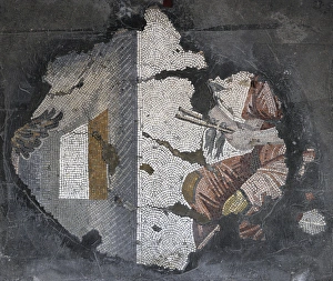 Images Dated 14th December 2013: Great Palace Mosaic Museum. Byzantine style. Flight of birds