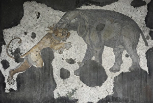 Images Dated 14th December 2013: Great Palace Mosaic Museum. Byzantine style. Elephant and li