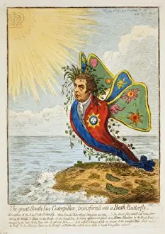 The great South Sea caterpillar, transform d into a Bath but