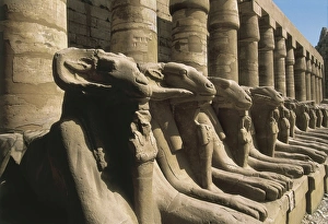 Amon Gallery: Great Temple of Amon-Re. 16th-4th c. BC. EGYPT