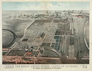 Mart Collection: The Great Union Stock Yards of Chicago. The largest live sto